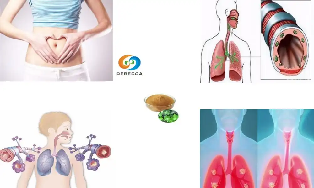 Benefits of ivy leaf extract